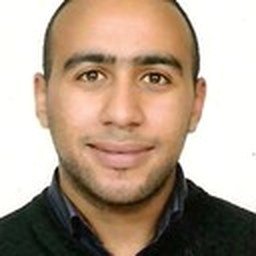 Representative profile photograph for Ayaan Malik